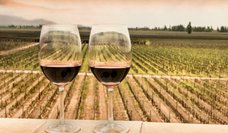 Mendoza Wine 